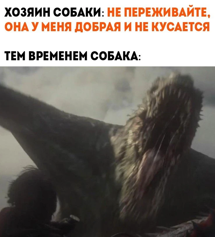 Немного чёрного юмора для вашей ленты 😅