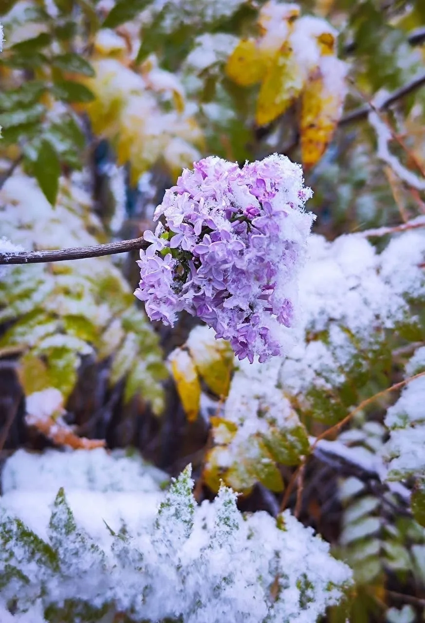 ❄️Снежок в Кезском районе