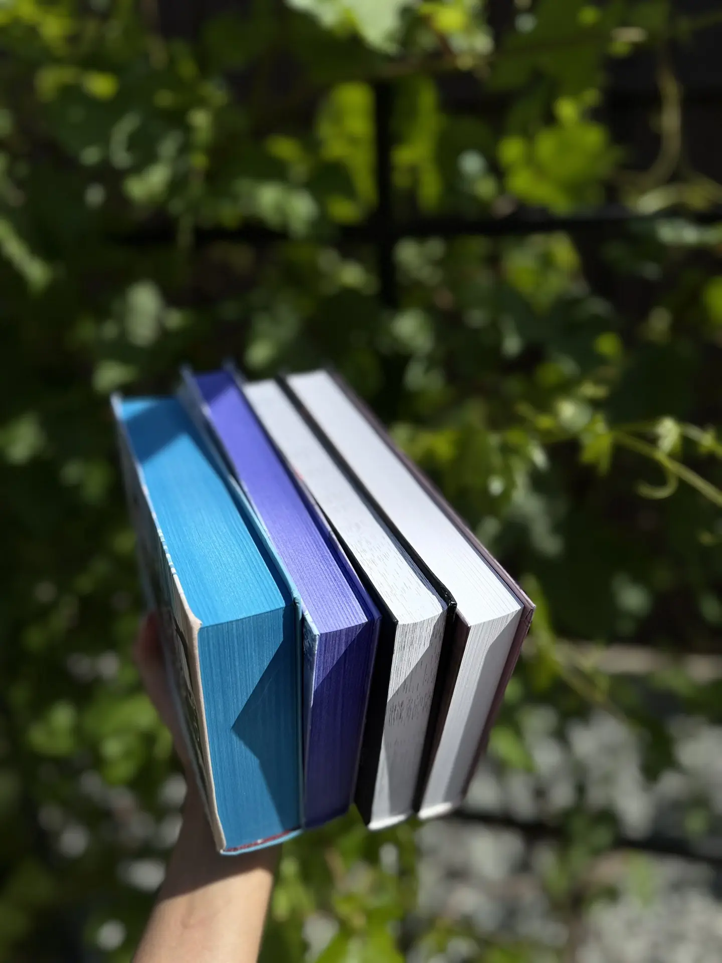 Молодежные книги, которые стоит прочитать этим летом) 

▫️Су Та «Красные вина зеленые»
▫️Гу Сяошен «