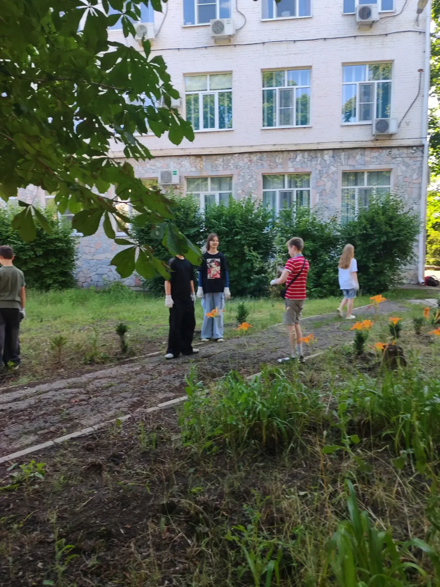 В течение всего лета учащиеся нашей школы отрабатывают летнюю трудовую практику. Сегодня 5 В класс в