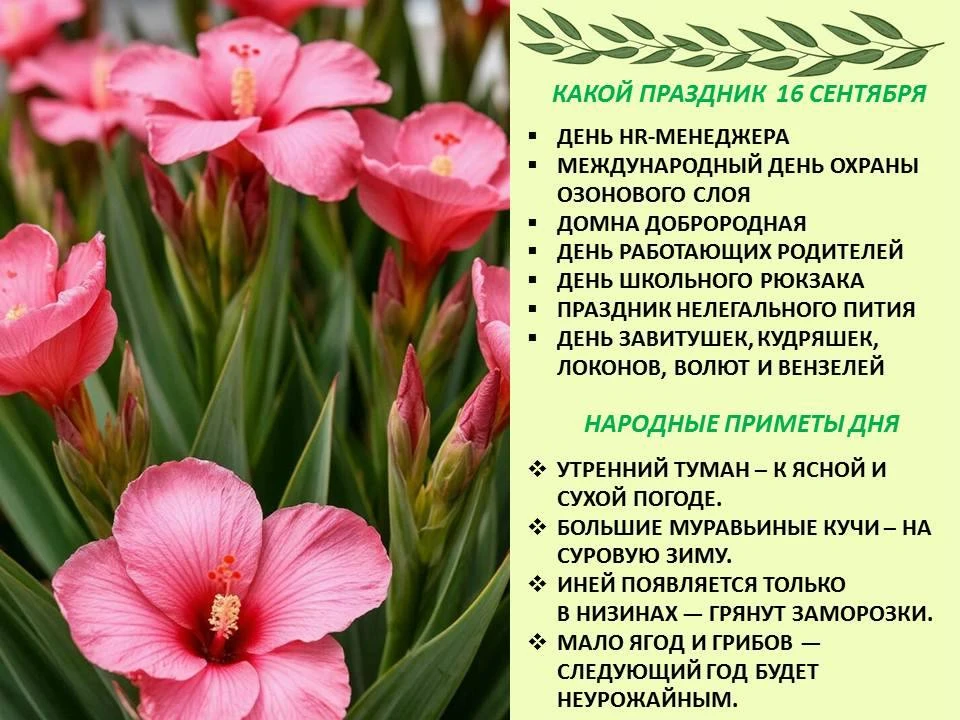 🌷Сегодня 16 сентября 2026 года, среда