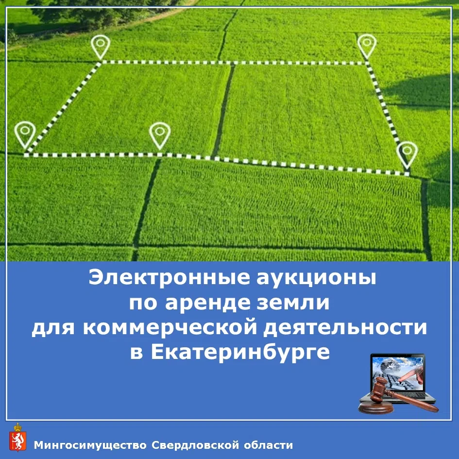 📢 Внимание, предприниматели и инвесторы! 

Принимаются заявки на проведение двух аукционов на право