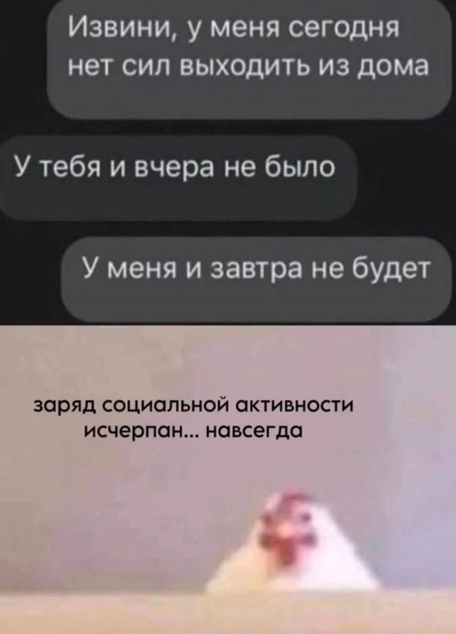 мемы / приколы / юмор / смешно