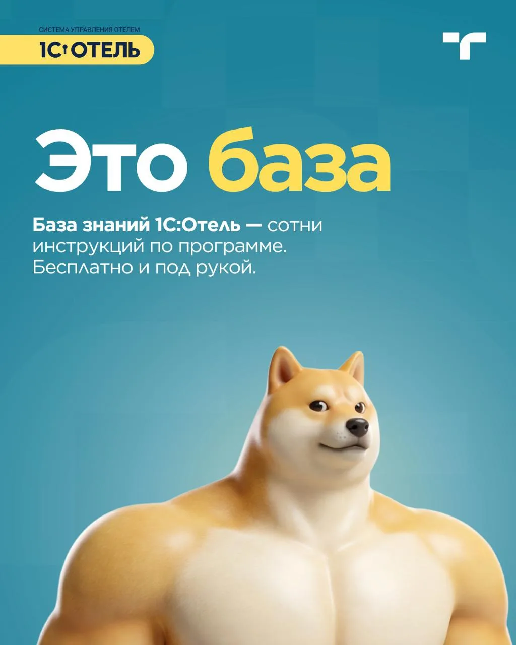Во время пика заездов вопросы не знают выходных. Как и наша База Знаний: