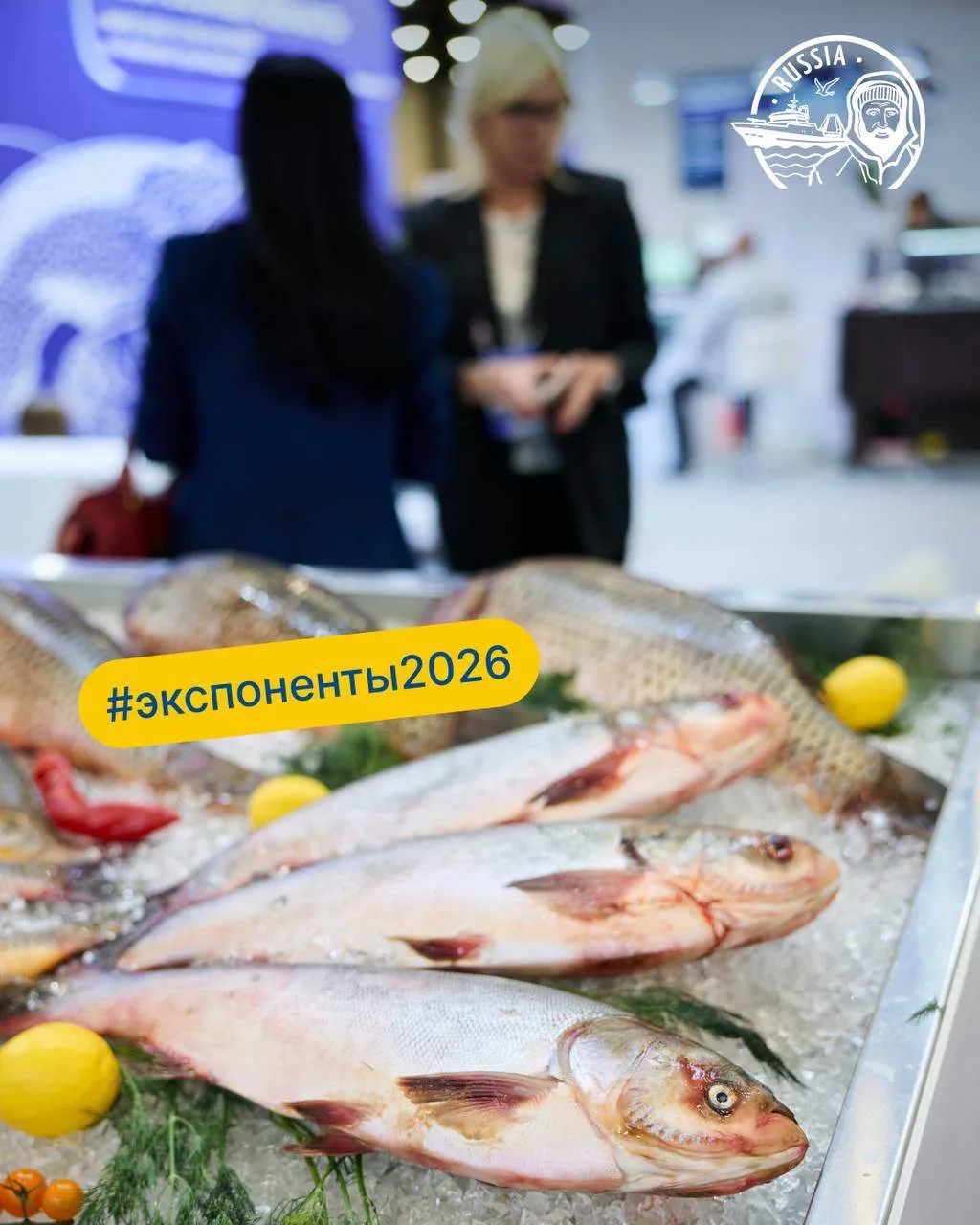 Новые #экспоненты2026 Seafood Expo Russia: полная цепочка

Выставка Seafood Expo Russia ежегодно объ