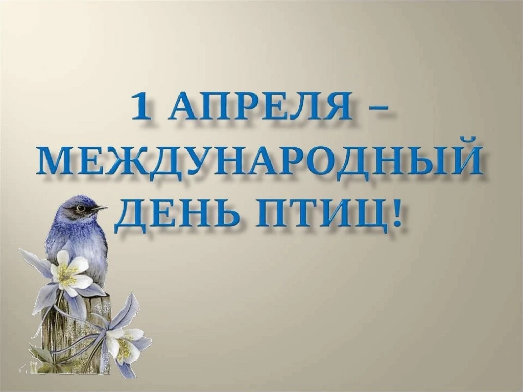 1 апреля вся планета отмечает Международный День птиц. Дата проведения праздника выбран...