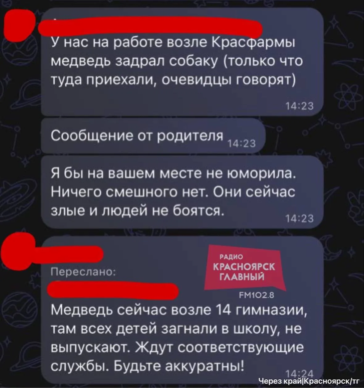 🐻 Из-за медведя не выпускают школьников из красноярской гимназии №14