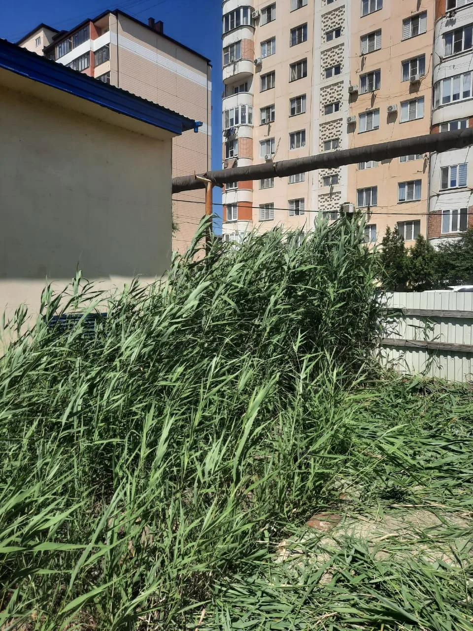 Дорогие друзья ! ✨Сообщаем, что сегодня 23 июня 2026 года на территории, прилегающей к детскому саду