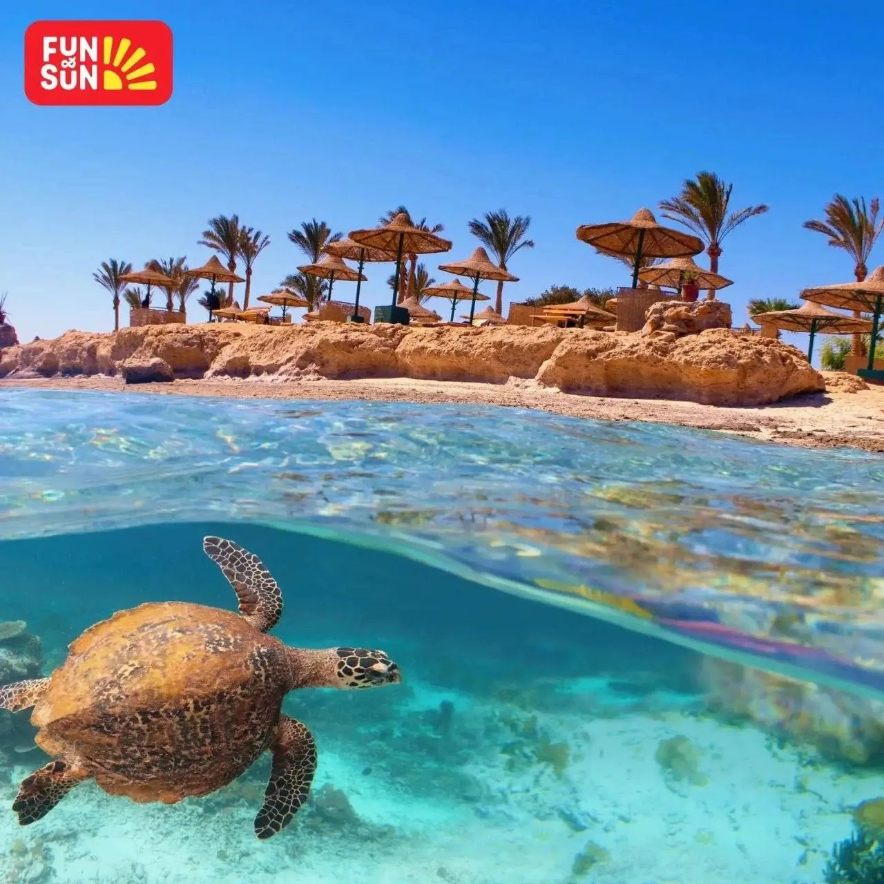🇪🇬Туры на ближайший вылет в яркий Египет