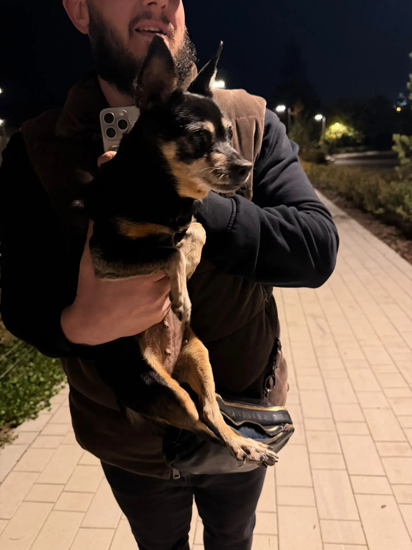 Всем добрый вечер! Нашли собачку, район дома Обороны. Может быть кто-то потерял или вид...