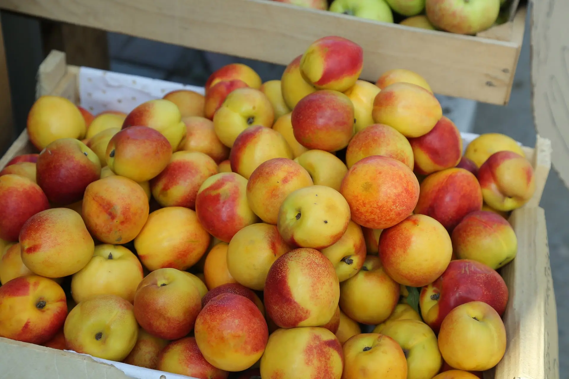 🍎Сотрудники правоохранительных органов провели рейд в Заельцовском и Ленинском районах...