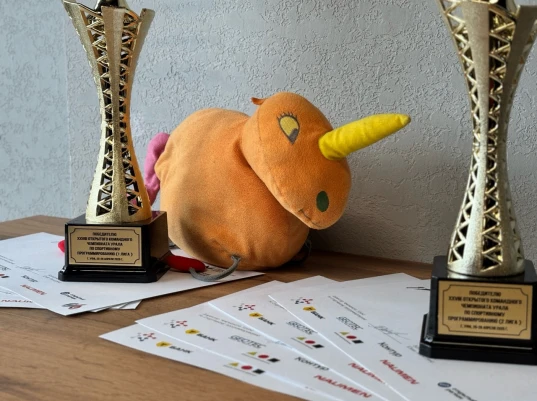 🏆 XXIX Открытый Чемпионат Урала по спортивному программированию