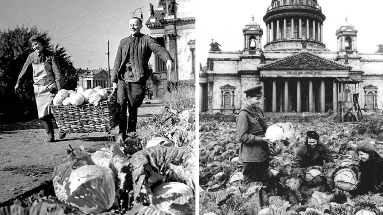 Сегодня 85 годовщина начала блокады Ленинграда 🕊