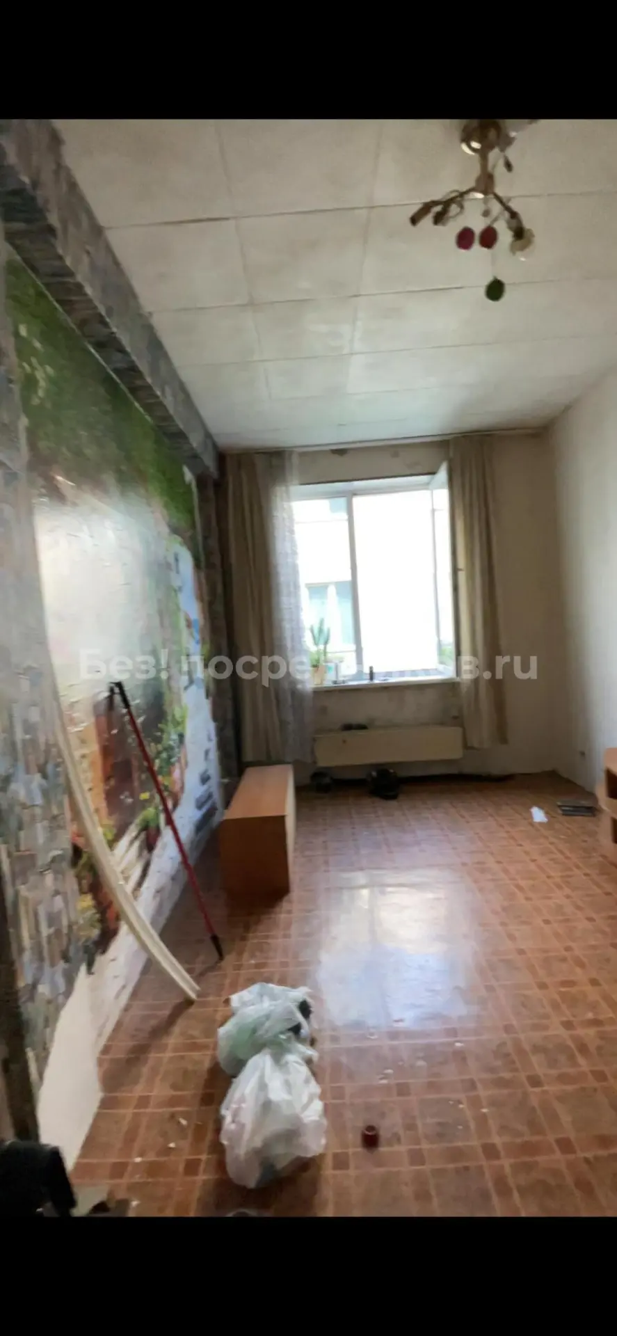 Сдам без посредников: студия, 21м²
