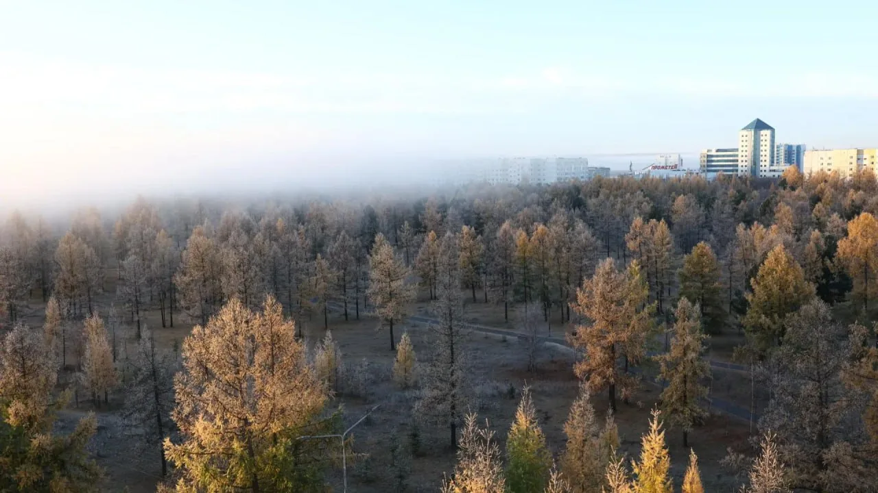 Утро туманное, утро седое... Так ямальцы встретили сегодняшний день в Надыме. По прогно...