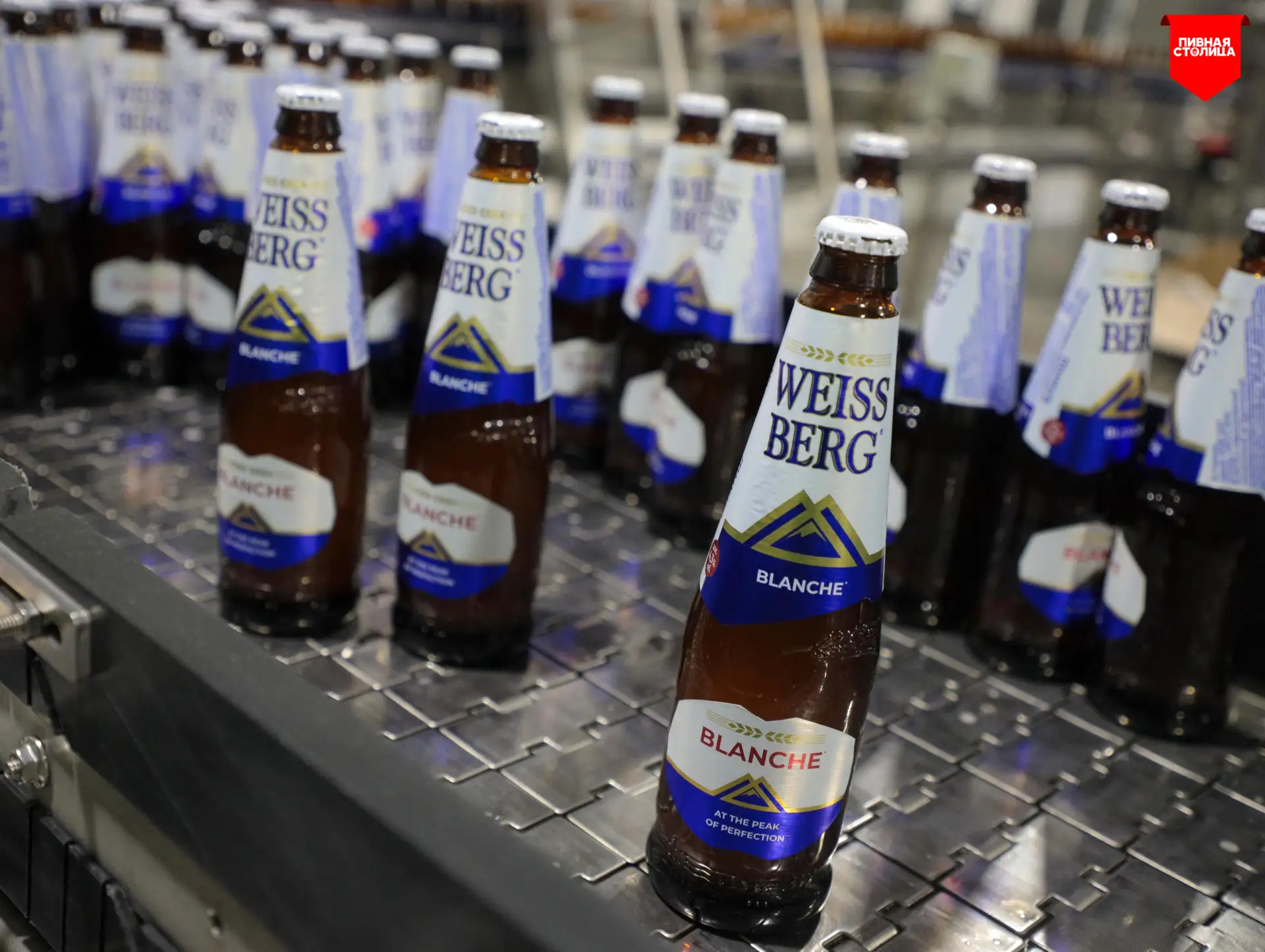 Кажется на полке рядом с "Kronenbourg 1664 Blanc" и "Krone Blanche Biere" появился силь...