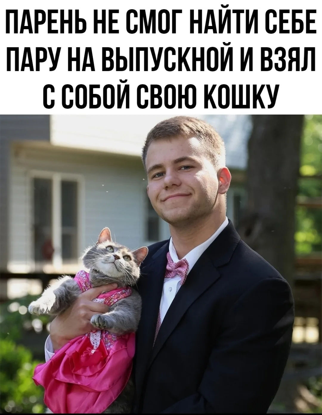 Думаю любовь с которой смотрит на него кошка, недоступна ни одной что он мог бы взять с собой в тот 