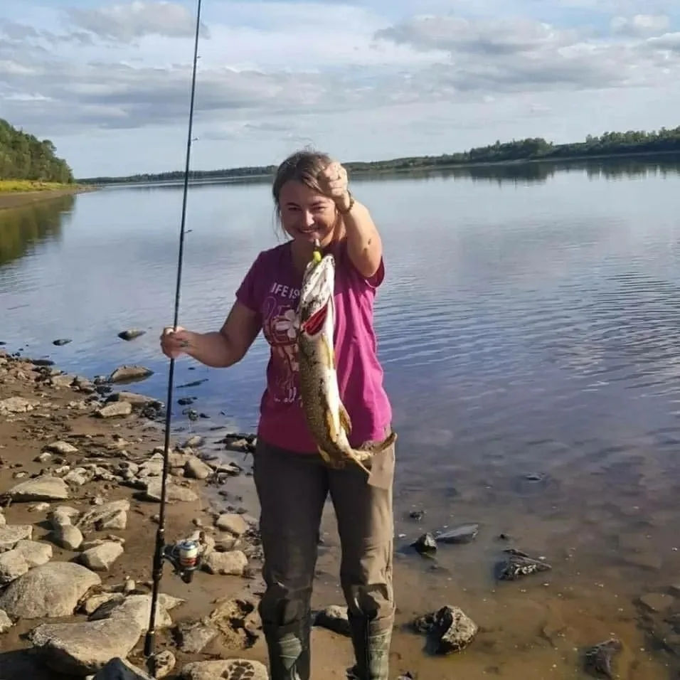 Улов от нашей подписчицы 🎣