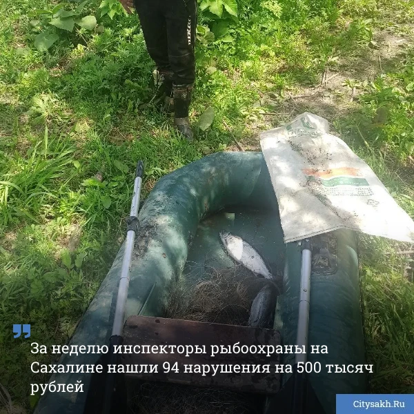 🐟 Со стартом лососевой рыбалки начались и нарушения. Инспекторы СКТУ за неделю зарегистрировали 94 