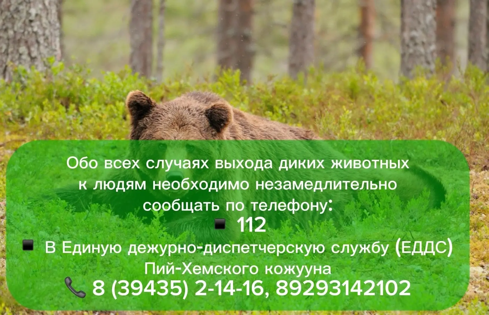 Внимание!