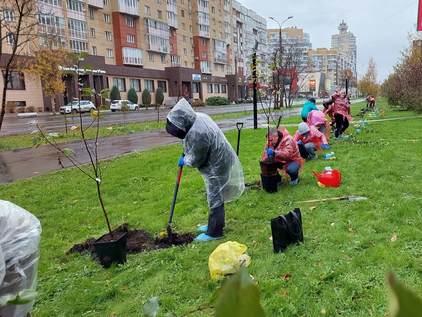 В Архангельске появилась новая яблоневая аллея