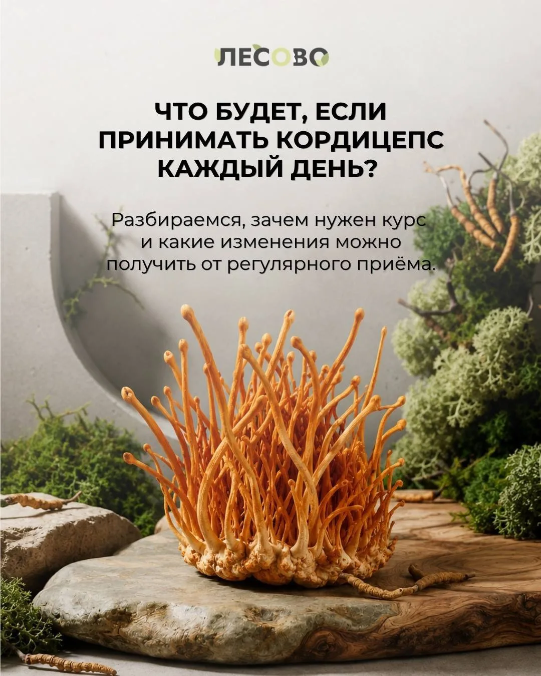Бывает, что привычный ритм становится сложнее выдерживать🫠