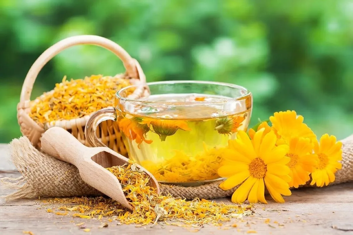 🌿 Чай для здоровья печени!
