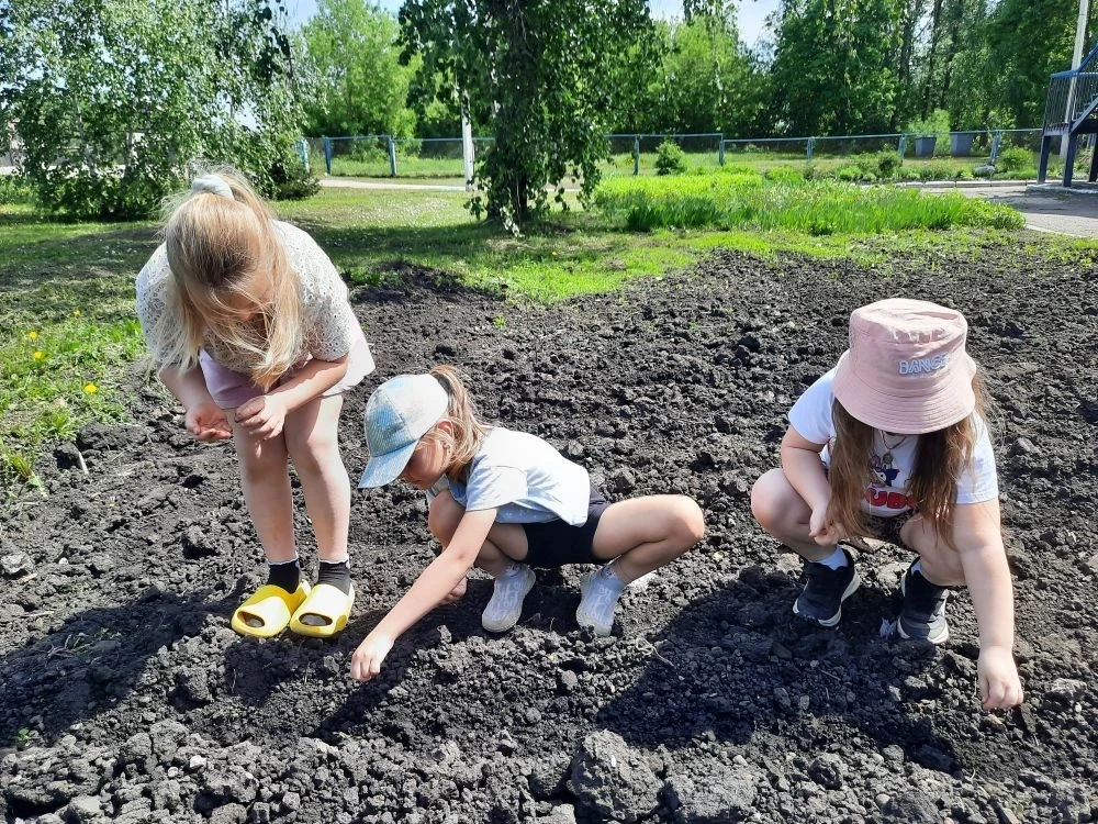 Мы сажаем огород.🥦🥕 Посмотрите, что растет!