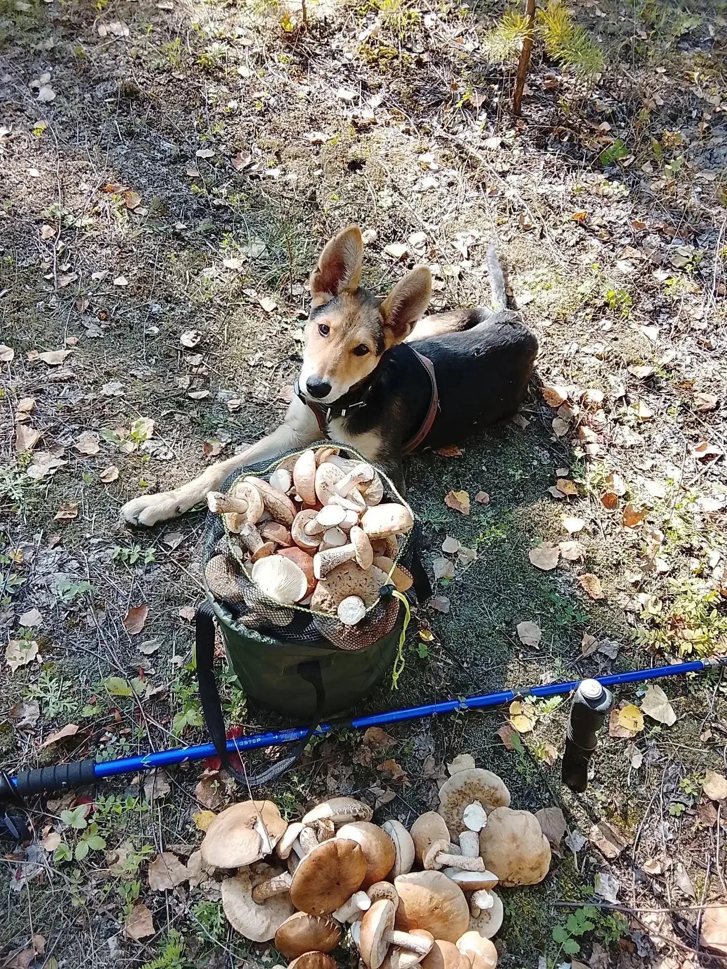 Красноярский край