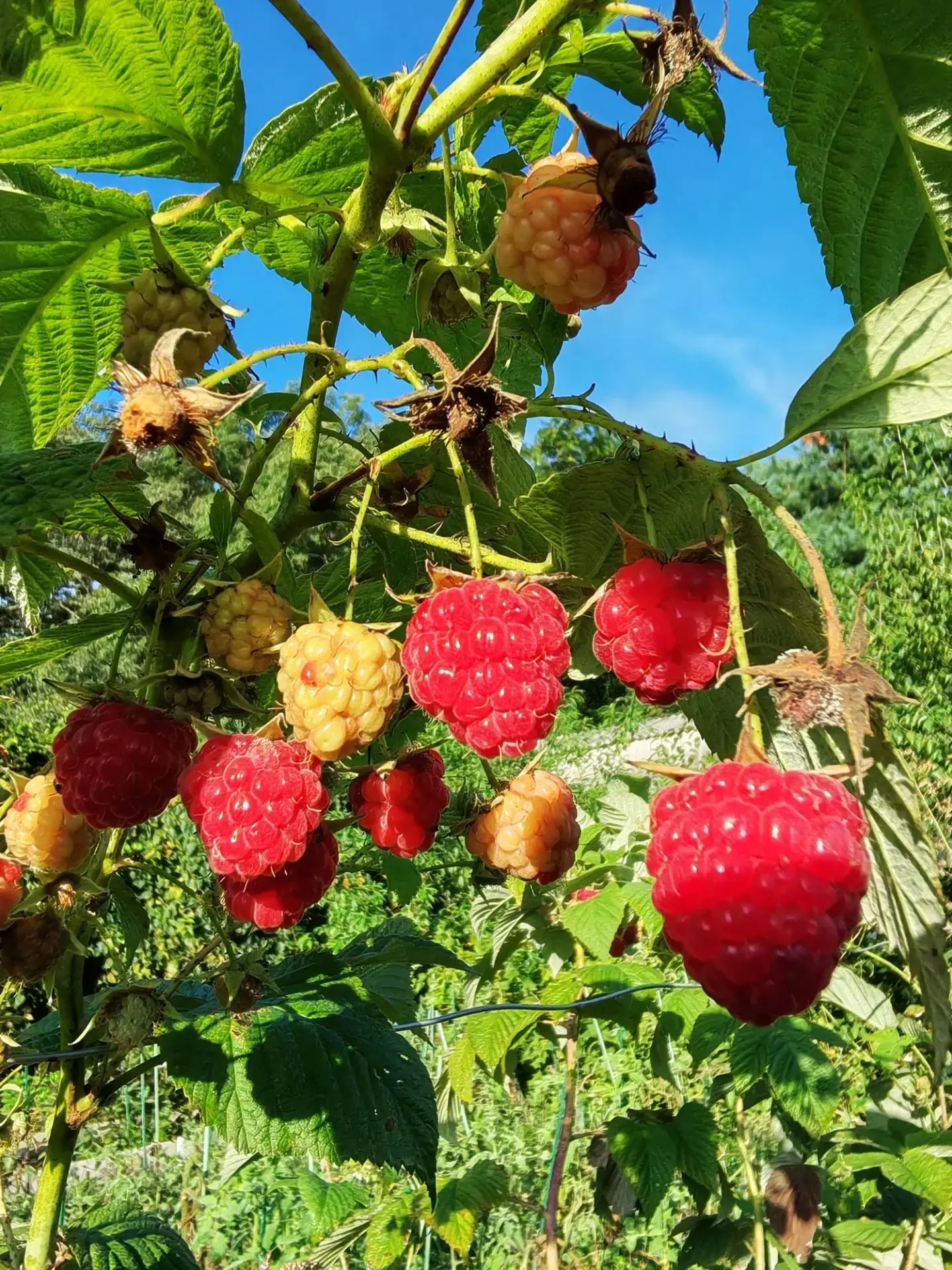 ☀️ Доброе утро, Большой Камень!