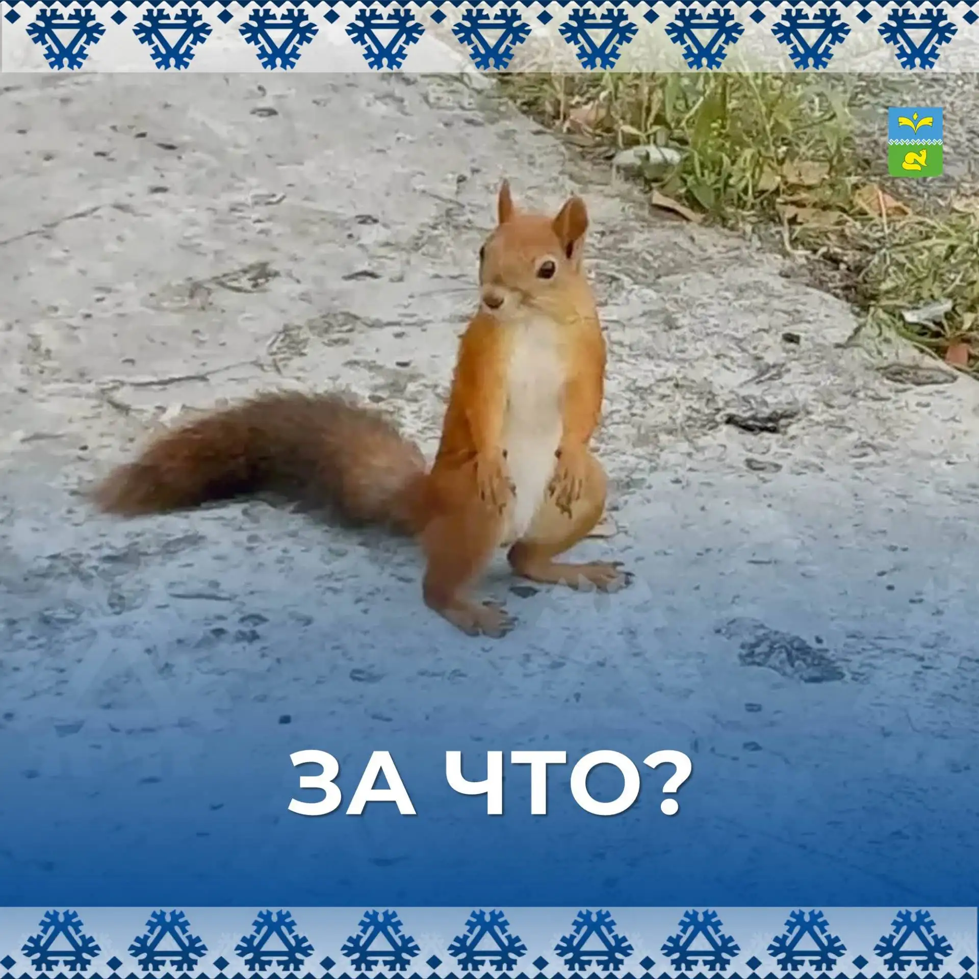 Вопрос возник не случайно. Жители всё чаще сообщают о случаях необоснованной жестокости...
