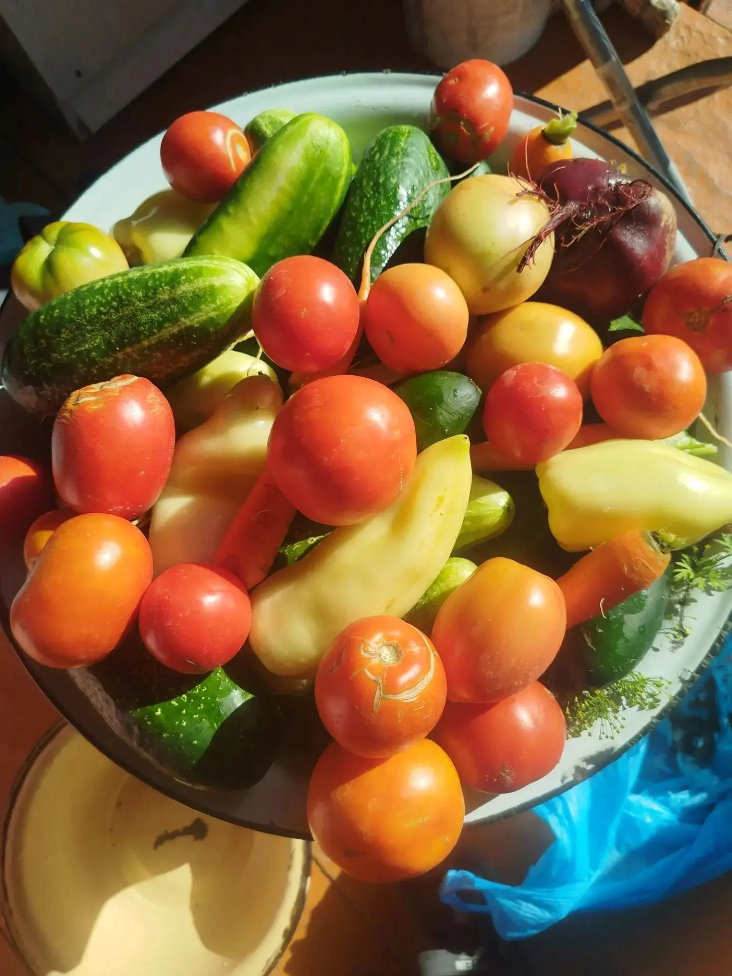 🌱 🥕🌸Огород — семье доход!