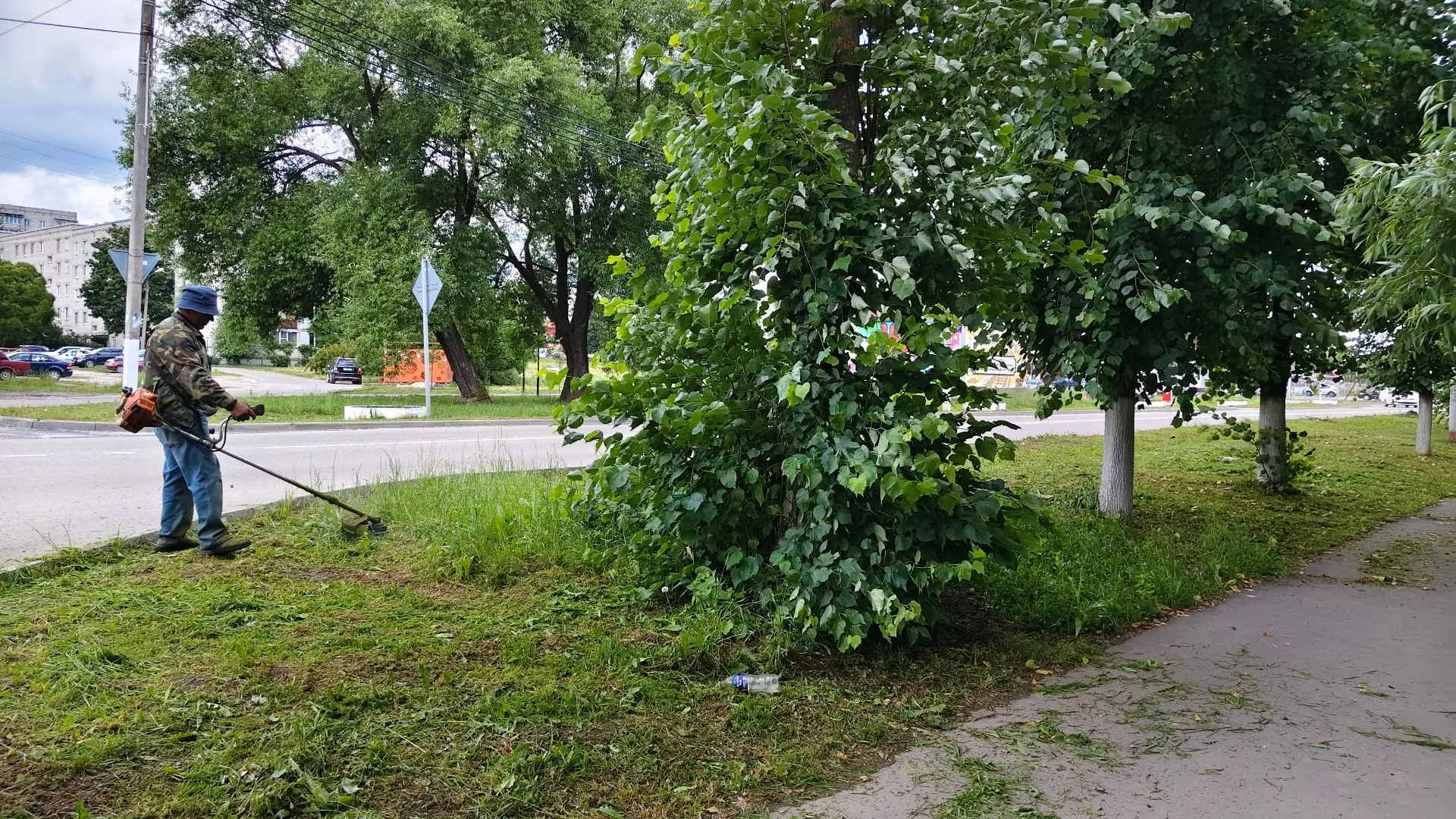 🌿В Петушках активно косят траву на общественных территориях.
Регулярная уборка продолжится, делая г