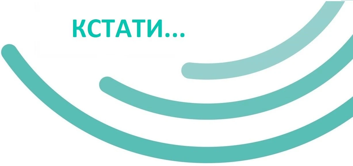 ✅По словам  главы Оренбурга Альберта Юмадилова, ситуация с нарушениями на контейнерных ...