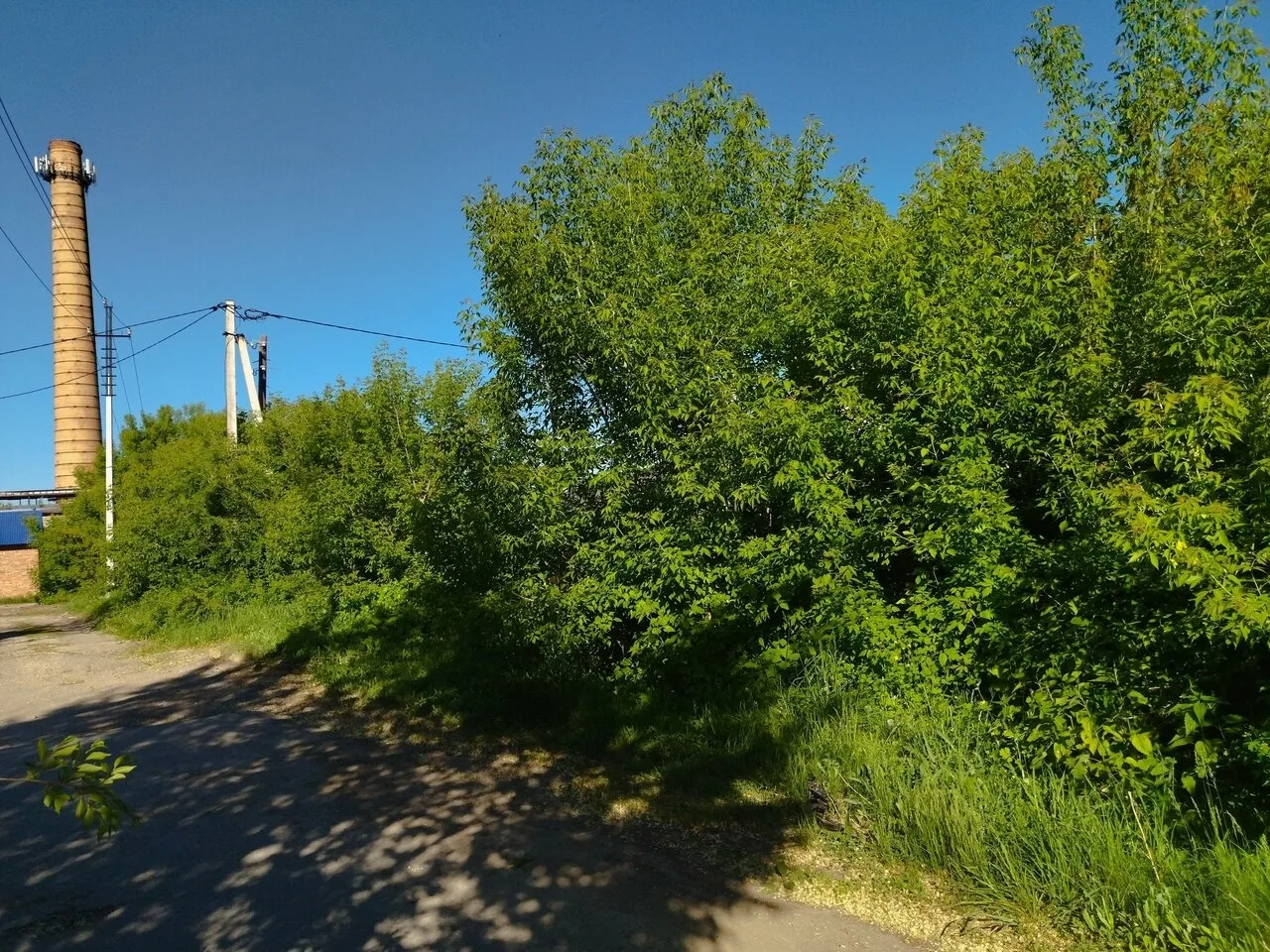 Присылайте Ваши фото в "Предложить пост"