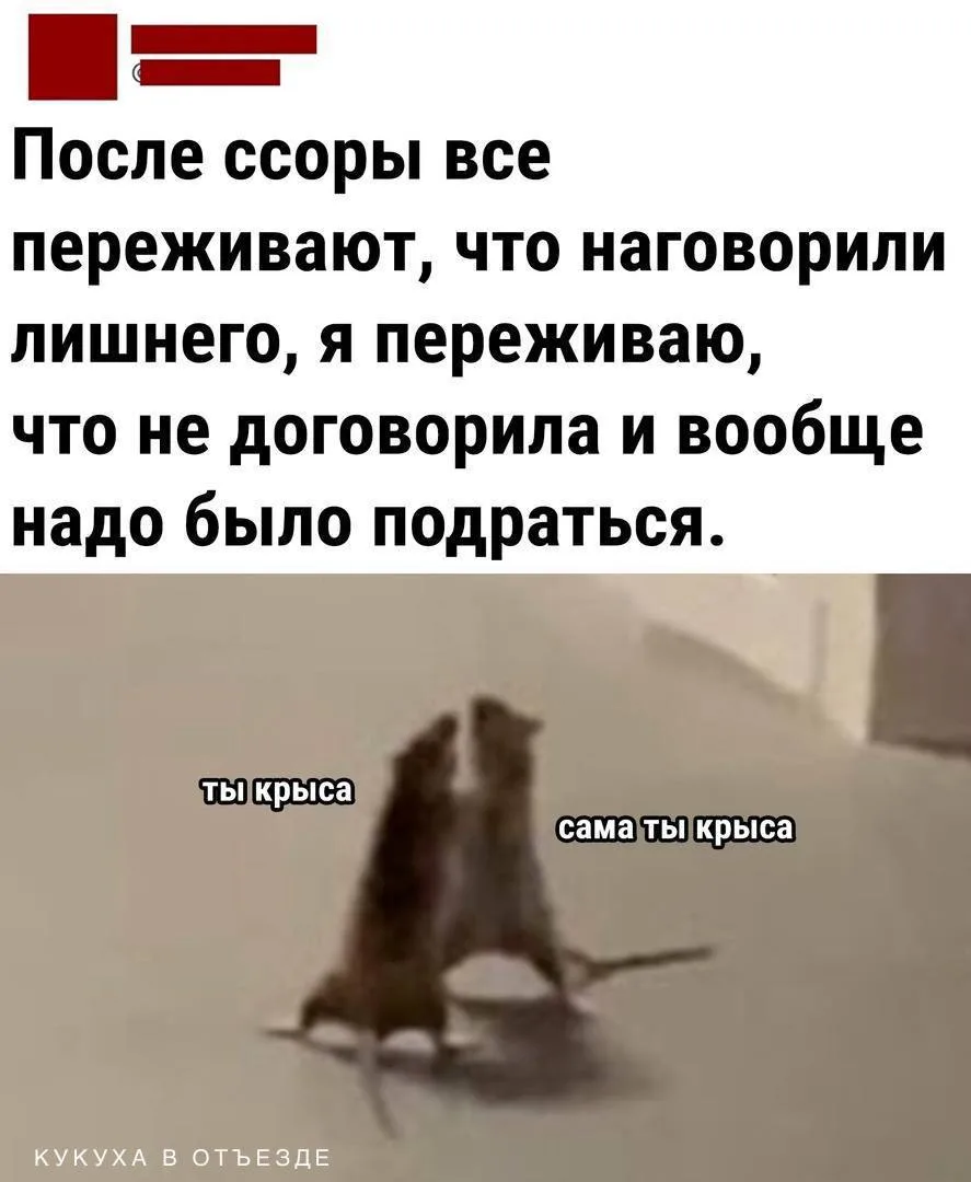 Кукуха в отъезде 🐦