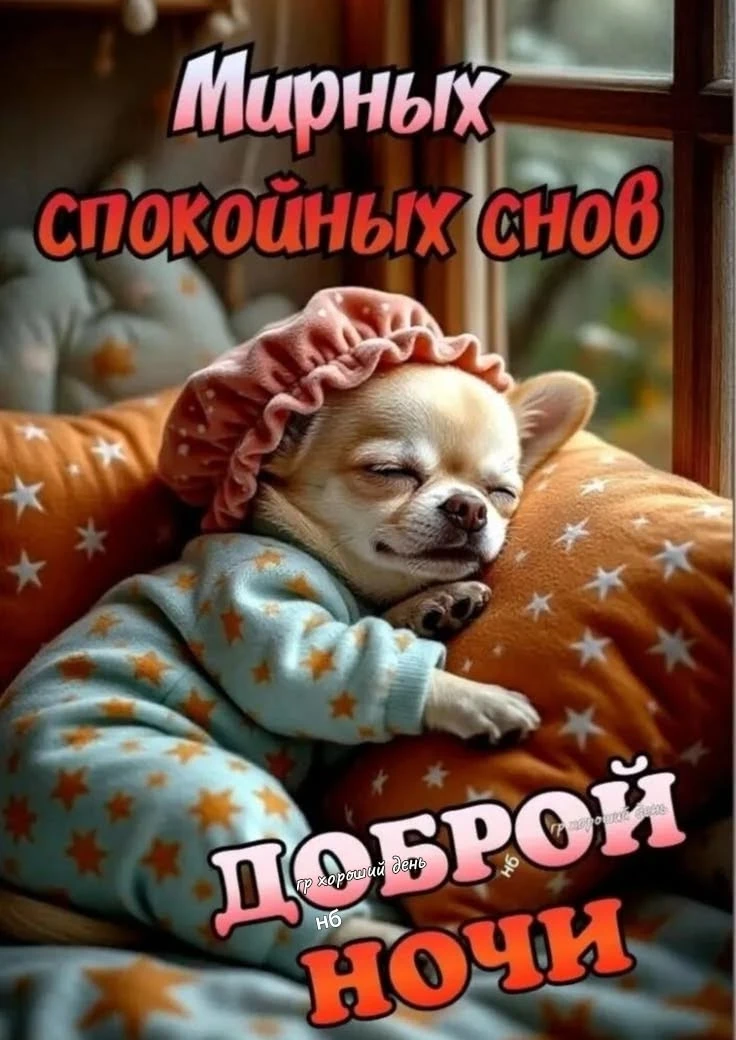 Доброй ночи 🌙