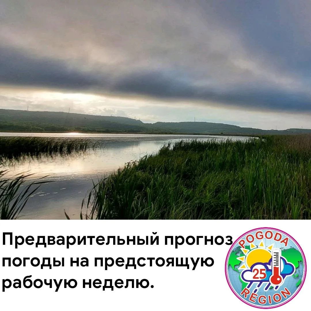 Если говорить коротко о погоде на предстоящей рабочей неделе, то погода на этой неделе будет неустой