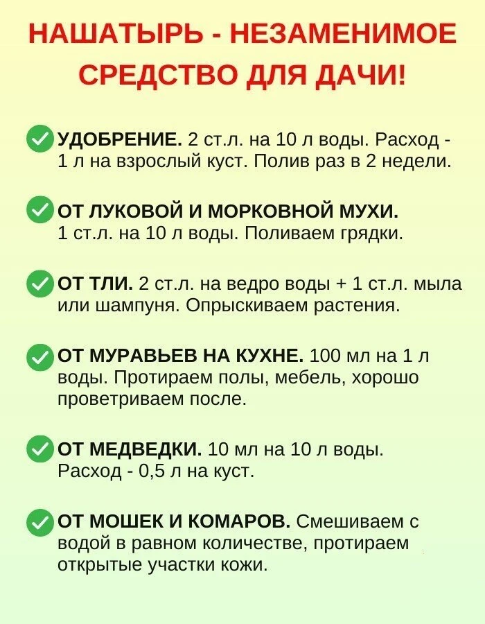 Изображение 1 к публикации «Моя Дача»