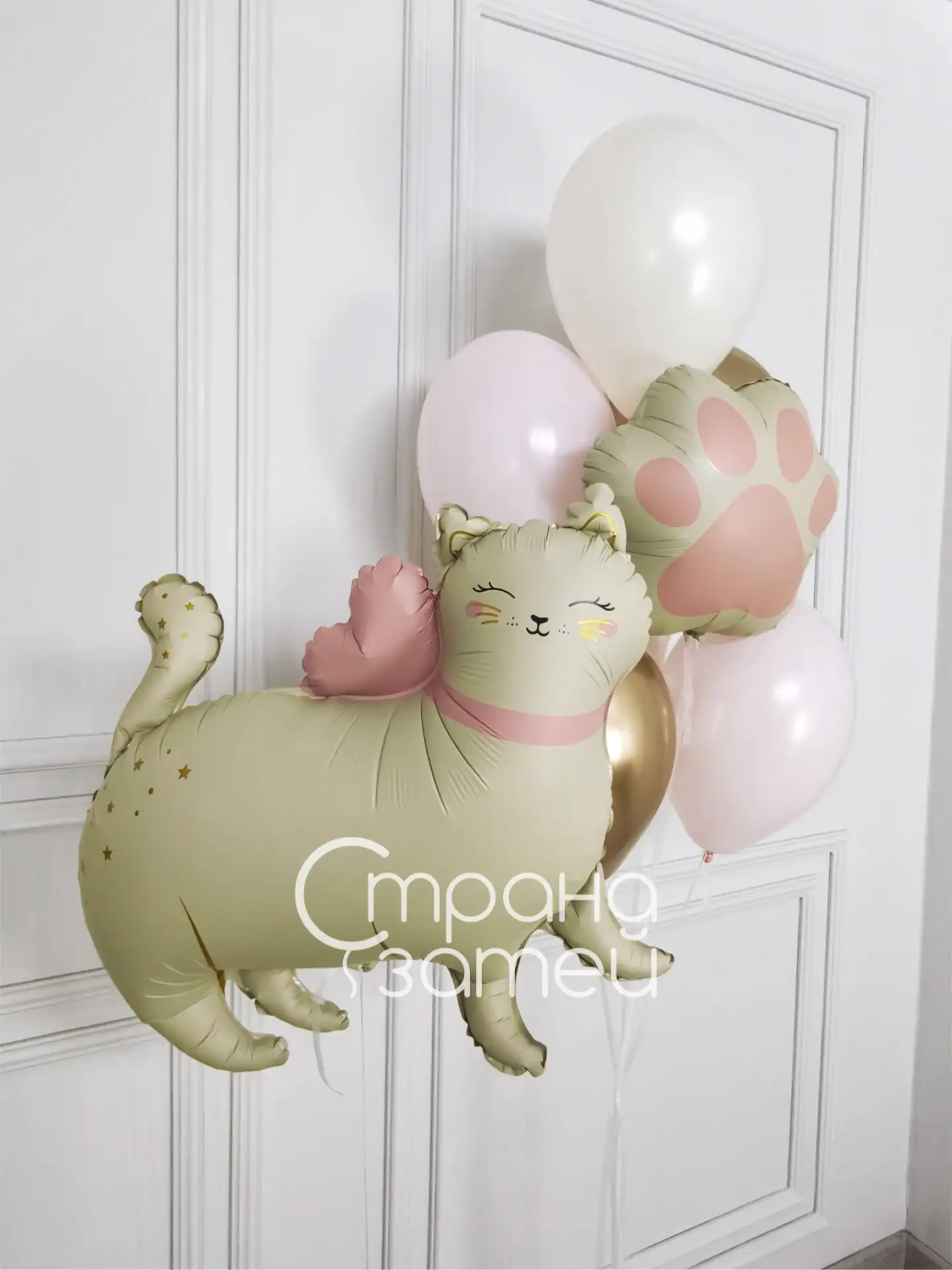 🐾 Когда именинница видит КОШЕЧКУ из шаров, дальше обычно только одно: визг радости и о...