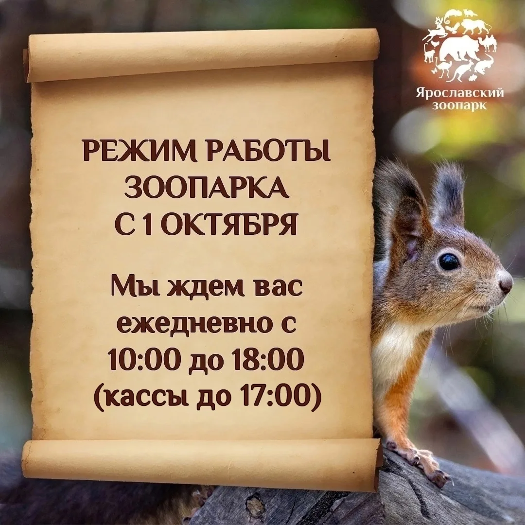 🍁РЕЖИМ РАБОТЫ ЗООПАРКА С 1 ОКТЯБРЯ