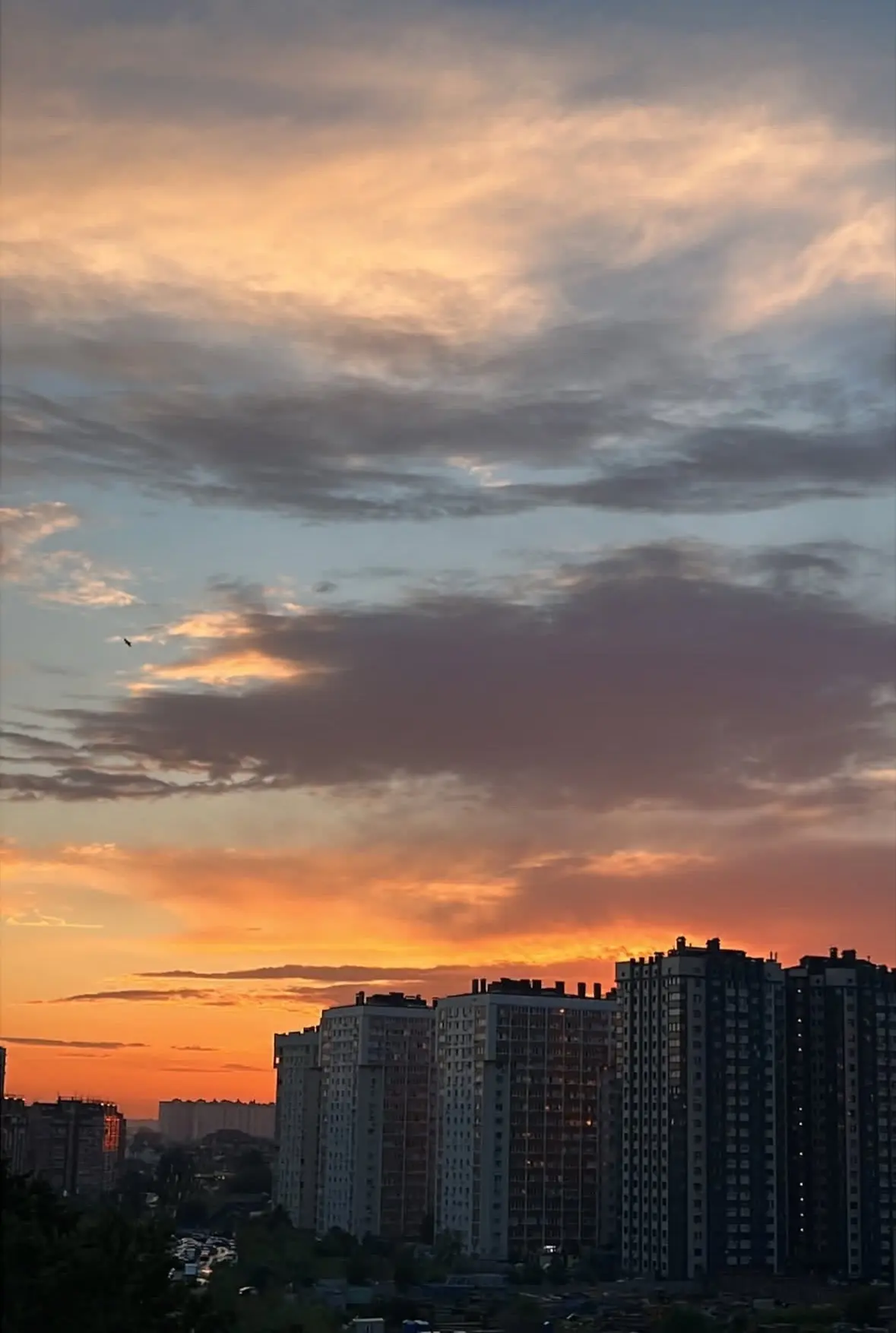 А потом было так…

Автор фото @yulya_yak