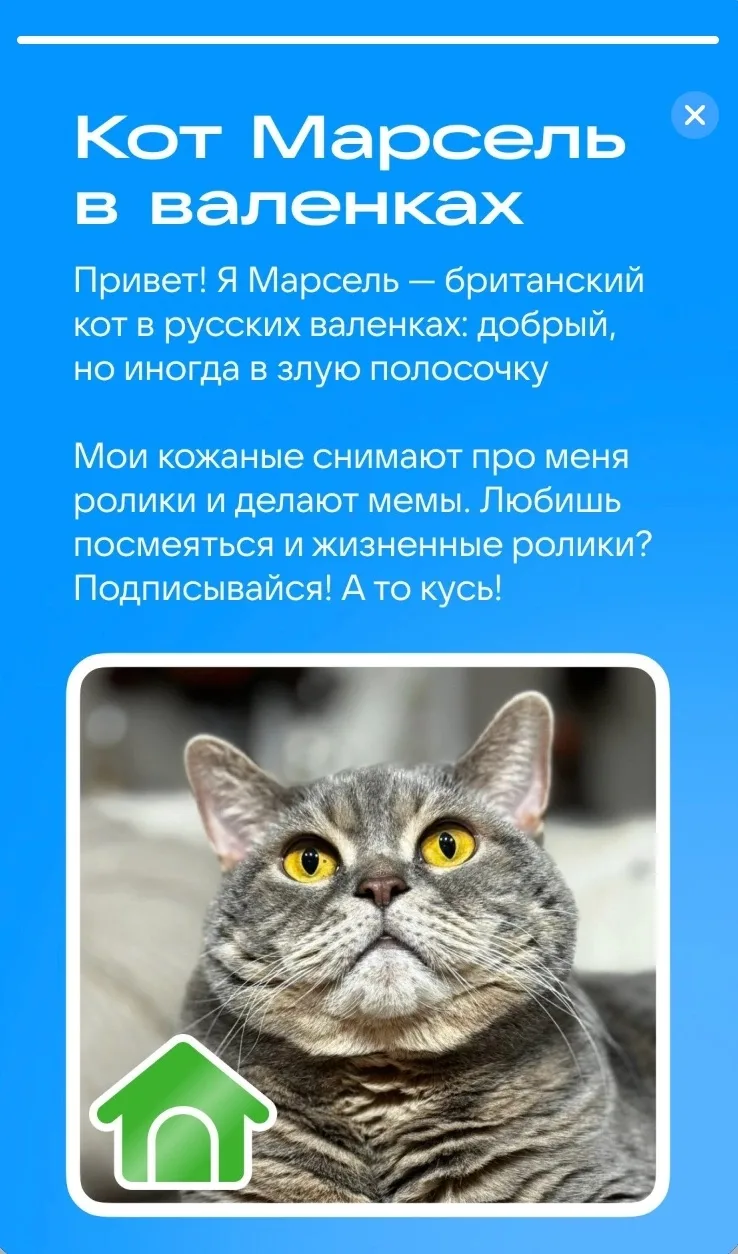 Всем привет! 
Помните, мы вам рассказывали о мини-приложении ВК, которое называется «Питомцы» ?
Так 