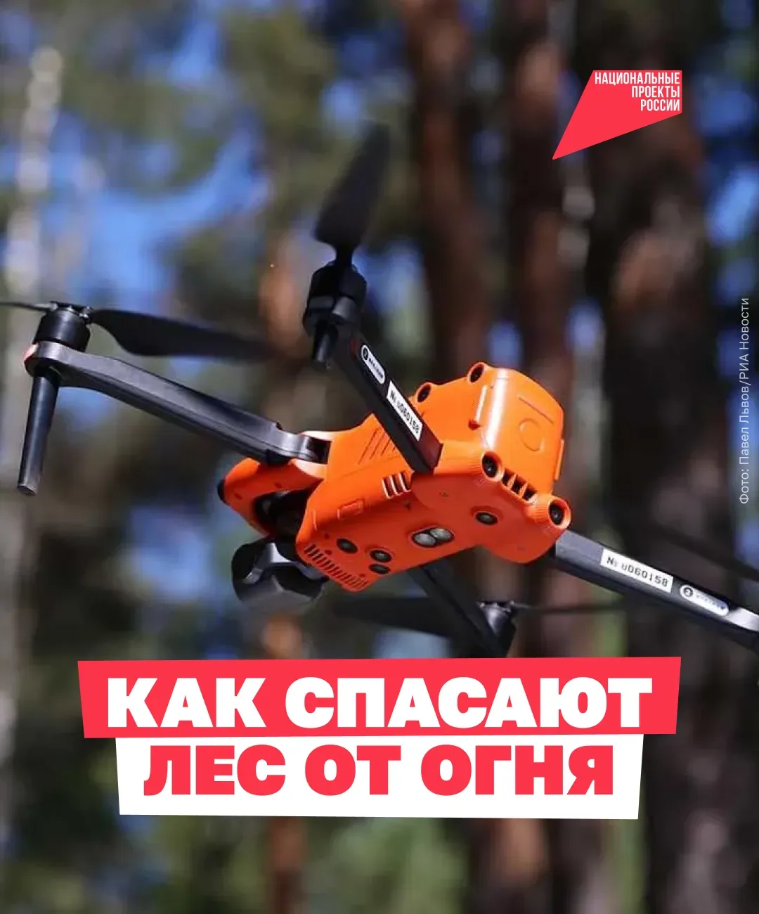 За российскими лесами следят из космоса 👀