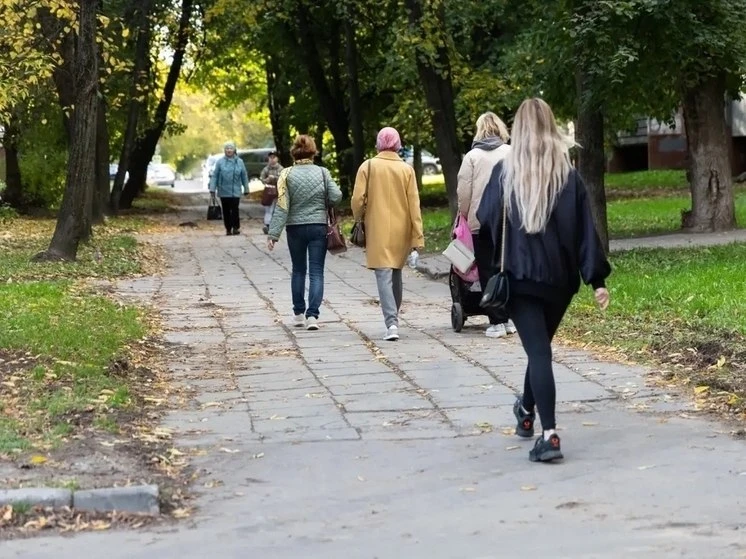 Пешеходную зону обустроят на улице Карла Маркса в Череповце.