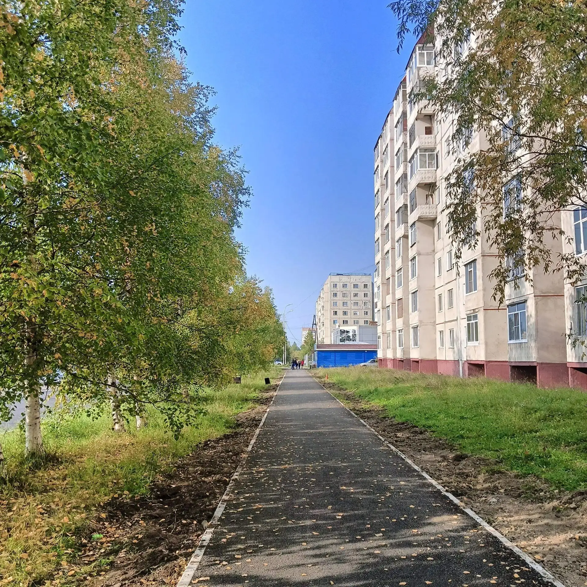 Добрейшего утра, друзья 💙