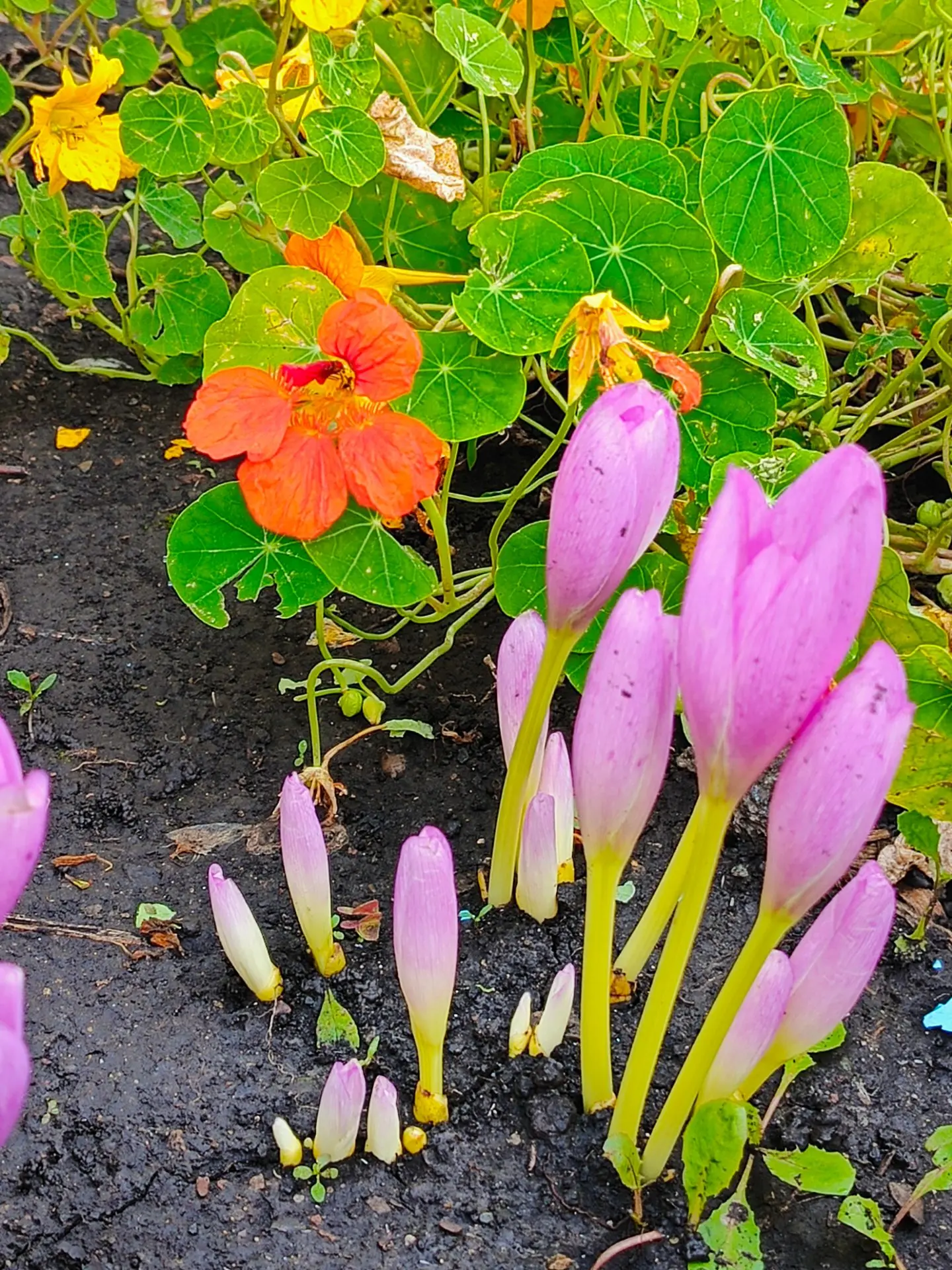 Фото