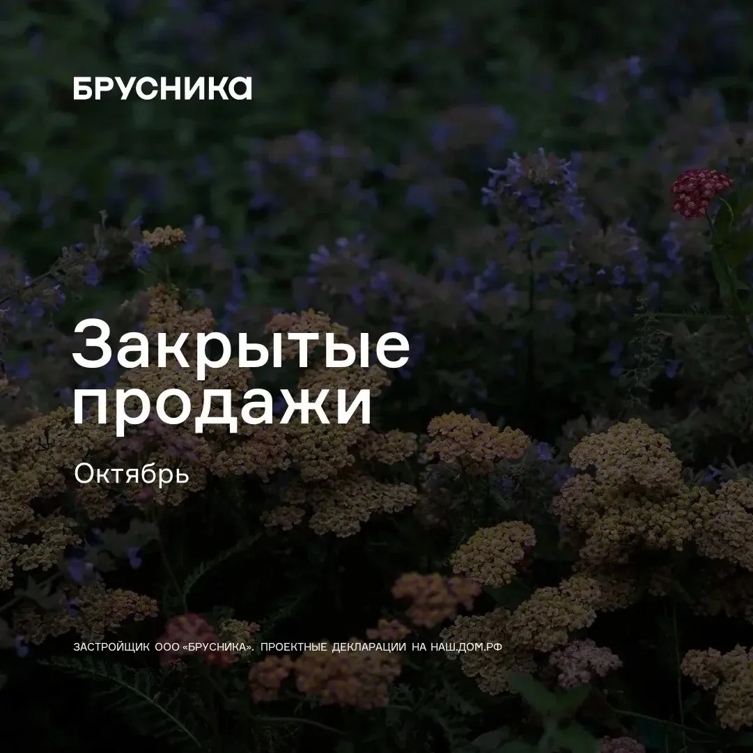 Октябрьское предложение от Брусники🔥