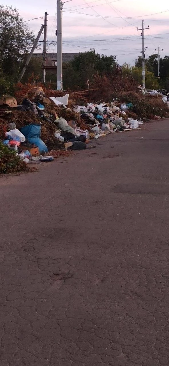🗑️ У 33-й школы снова горы мусора