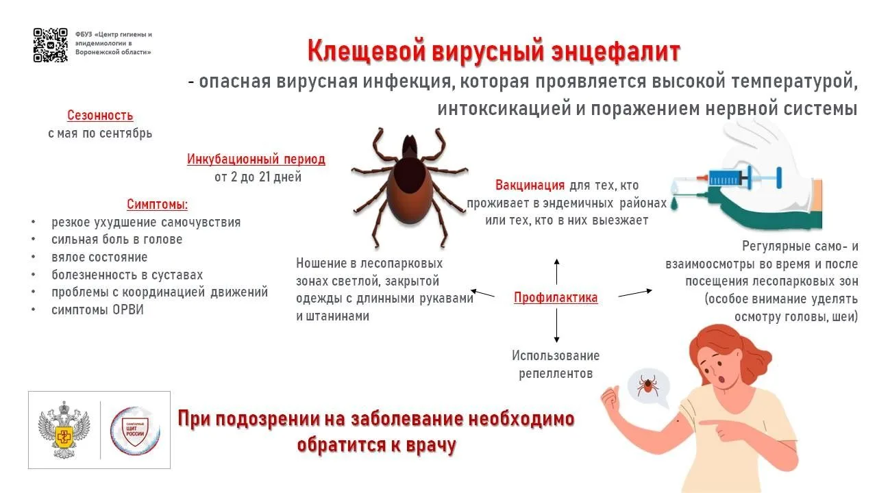 Клещи: профилактика энцефалита и других инфекций Дорогие друзья, мы разместили важную и...